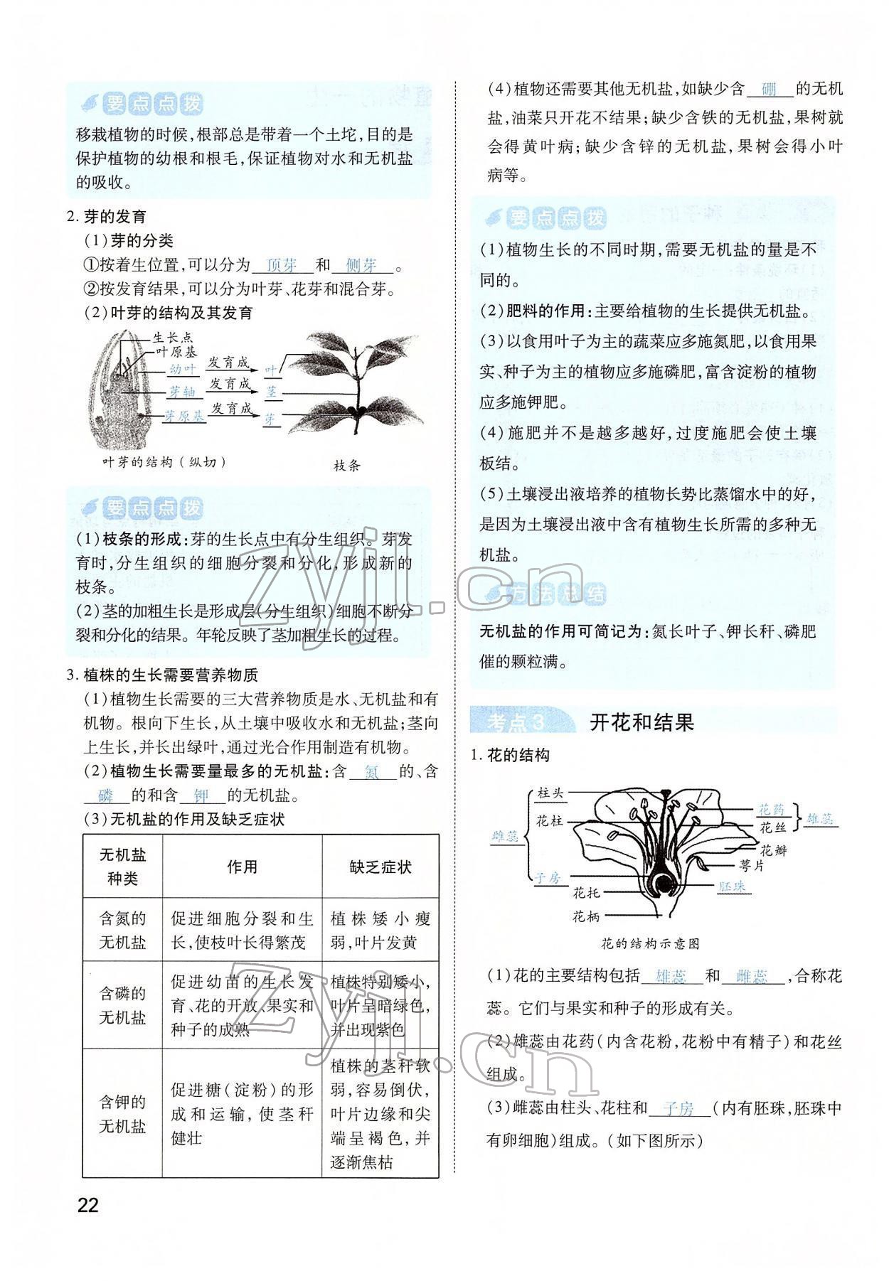 2022年河南中考第一輪總復習一本全生物 第22頁