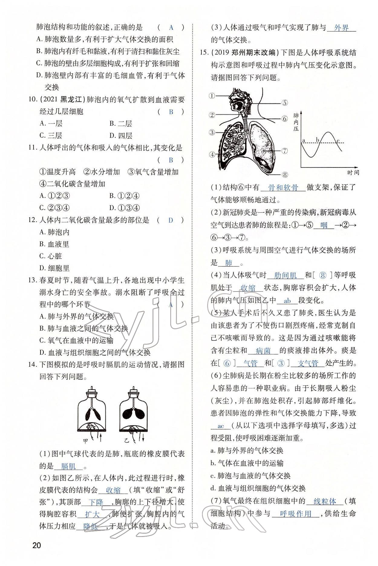 2022年河南中考第一輪總復(fù)習一本全生物 第20頁