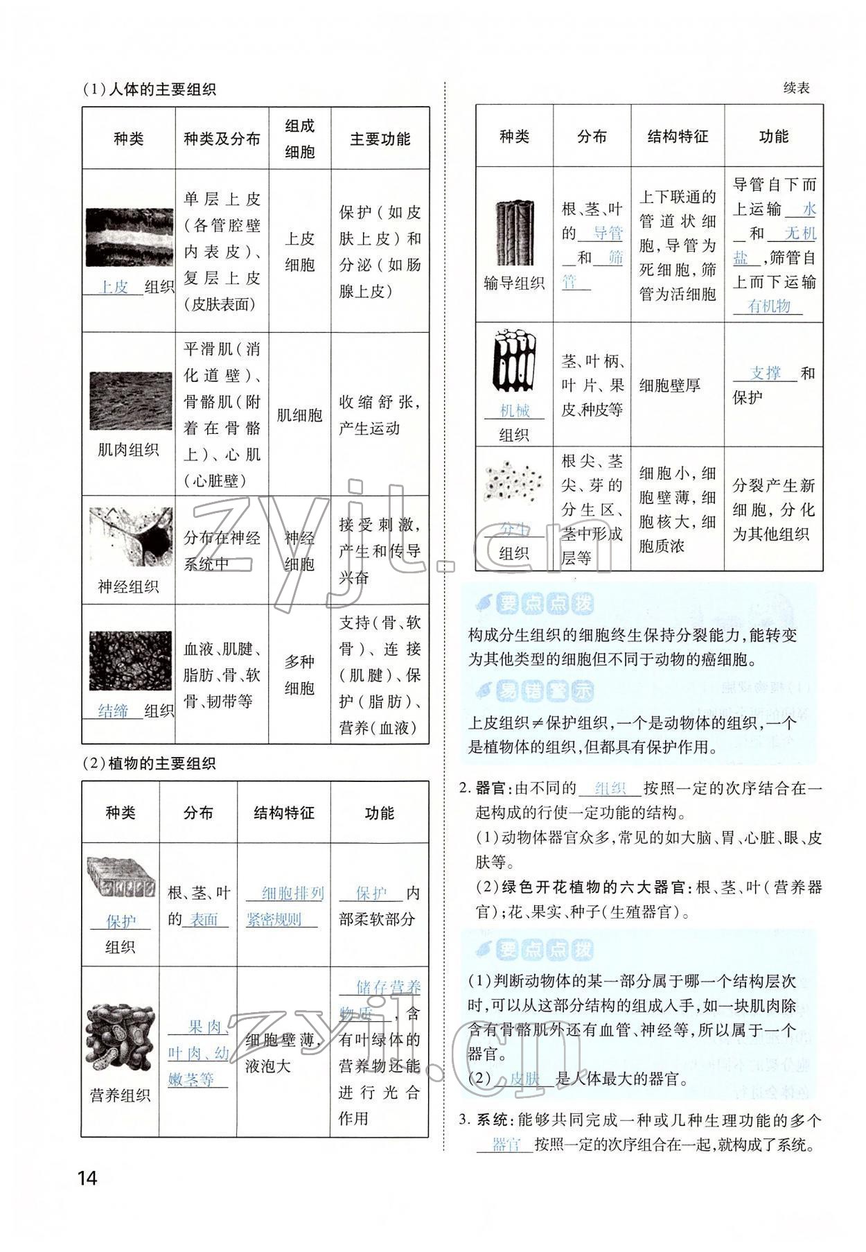 2022年河南中考第一輪總復(fù)習(xí)一本全生物 第14頁(yè)