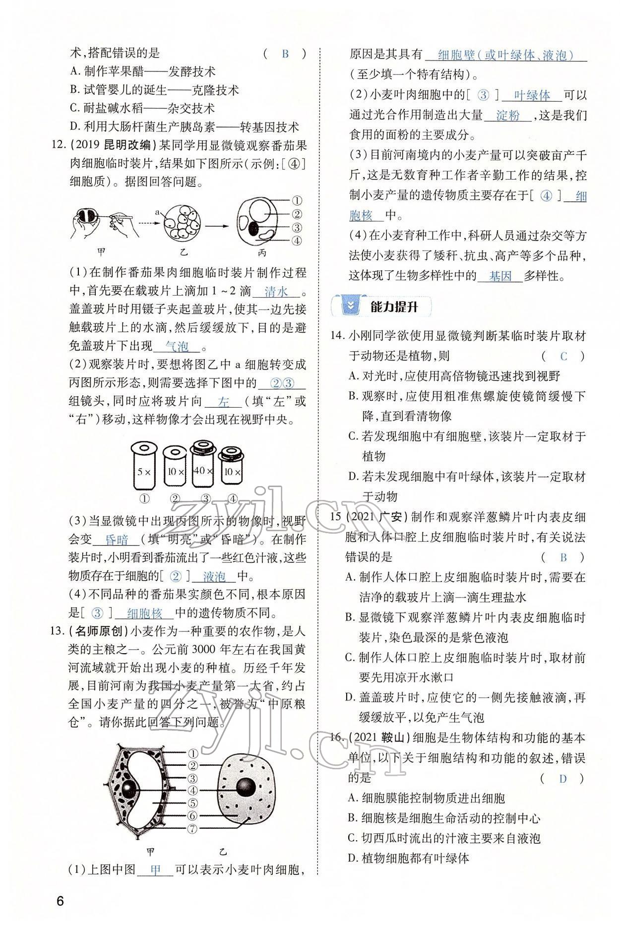2022年河南中考第一輪總復習一本全生物 第6頁