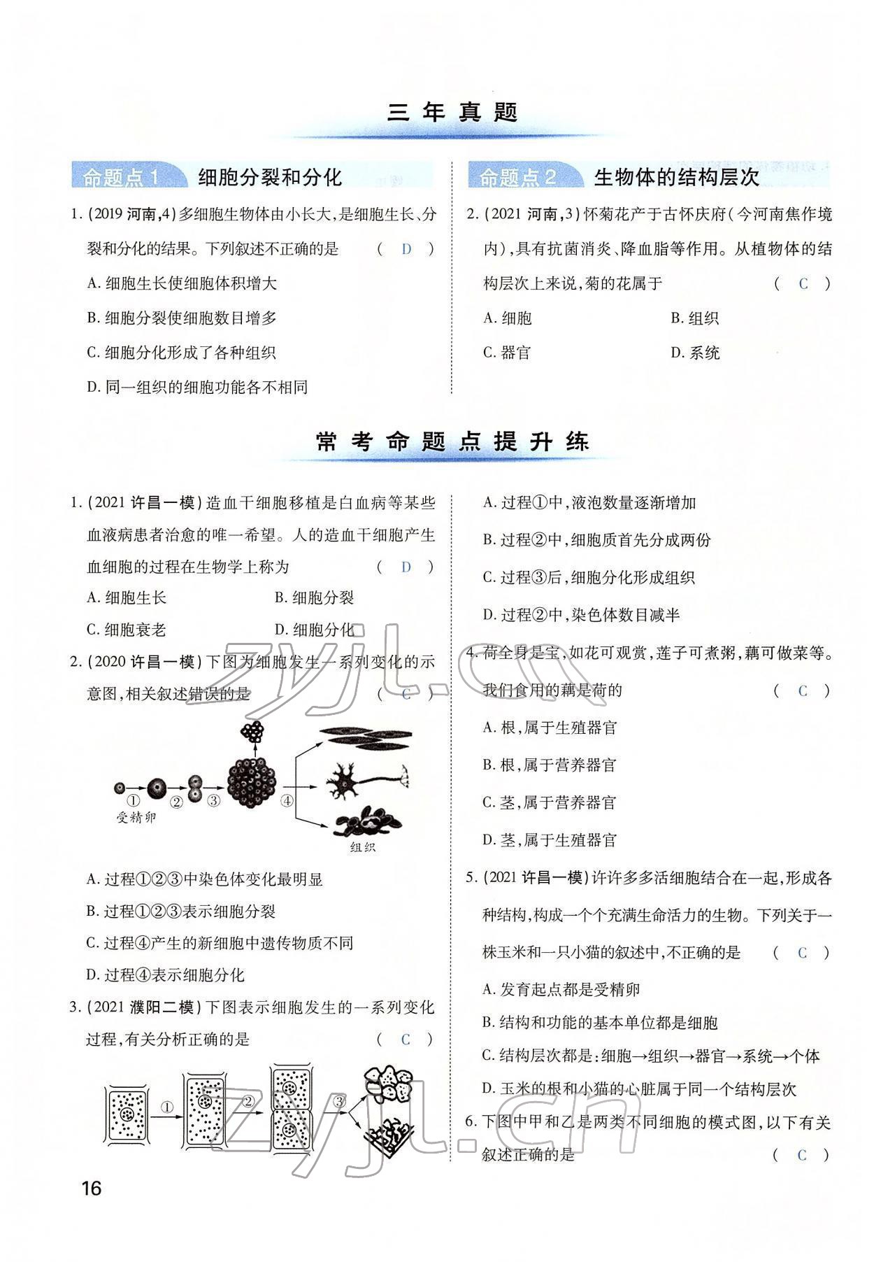 2022年河南中考第一輪總復(fù)習(xí)一本全生物 第16頁