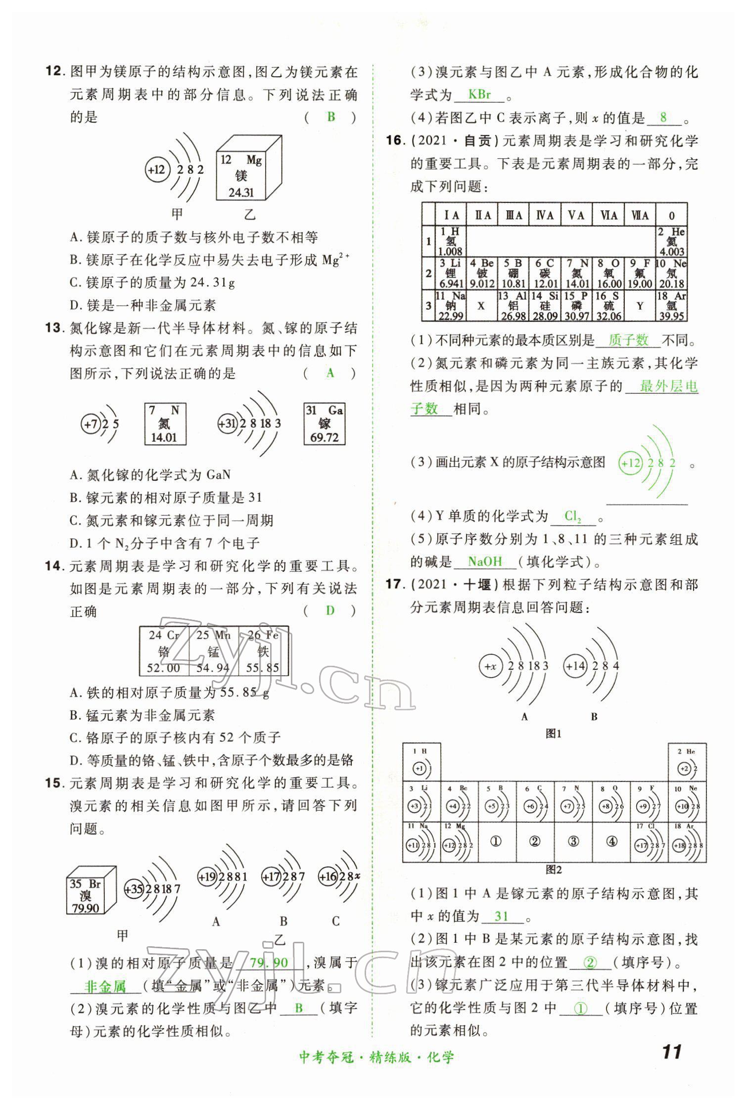 2022年國華教育中考奪冠化學河南專版 第11頁