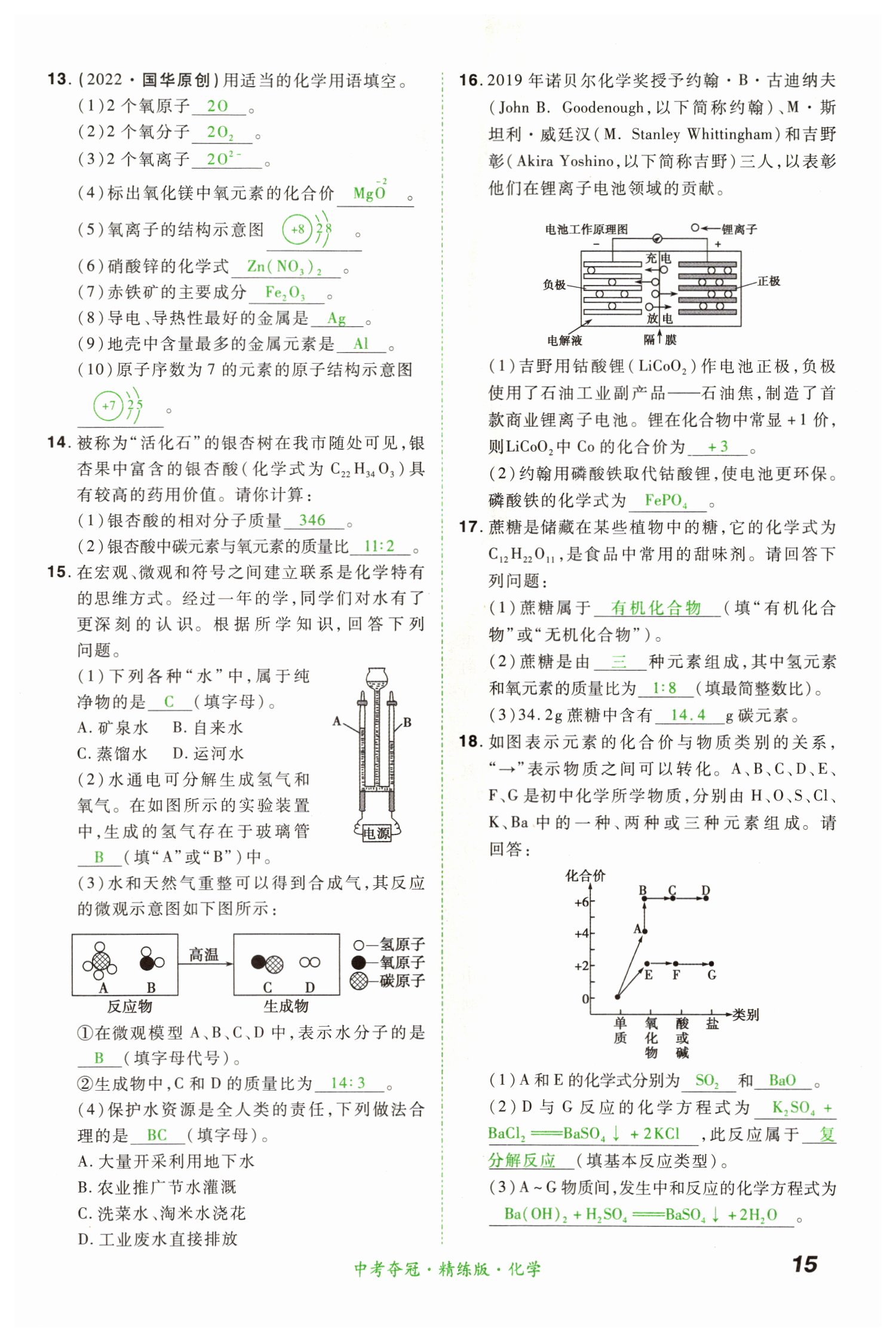 2022年國華教育中考奪冠化學河南專版 第15頁
