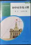 2022年初中同步練習(xí)冊九年級數(shù)學(xué)下冊人教版人民教育出版社