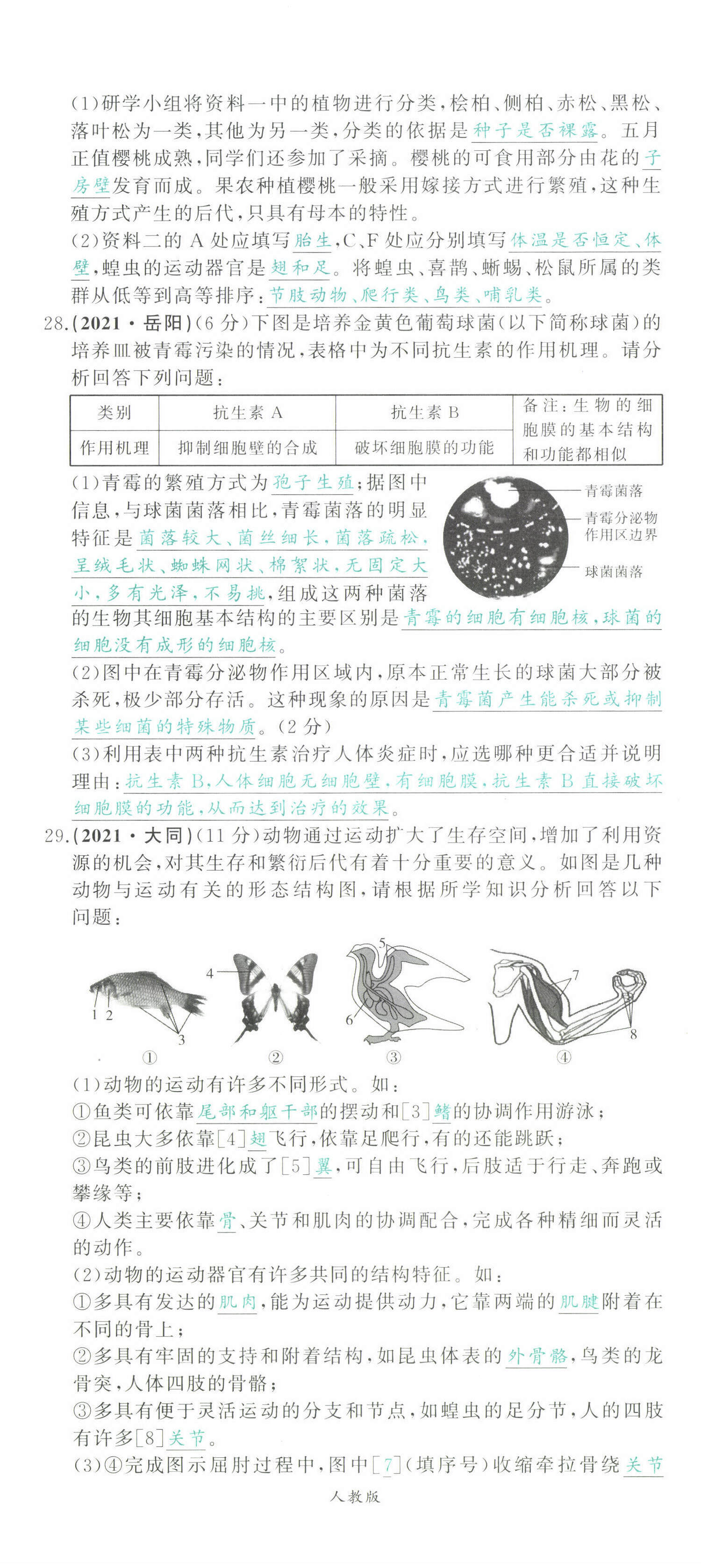 2022年智慧大课堂学业总复习全程精练生物&nbsp;第23页