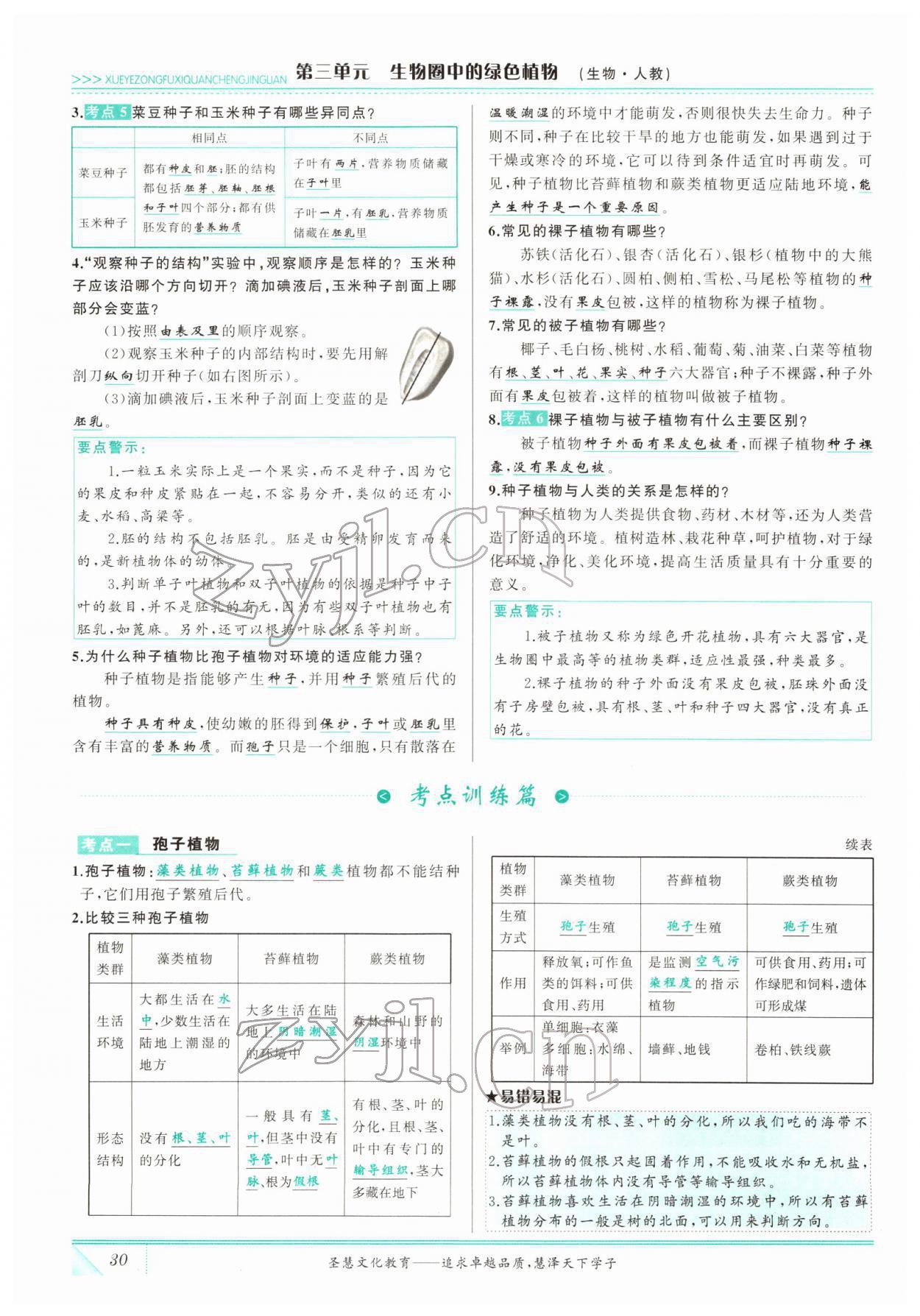 2022年智慧大課堂學業總復習全程精練生物 參考答案第30頁