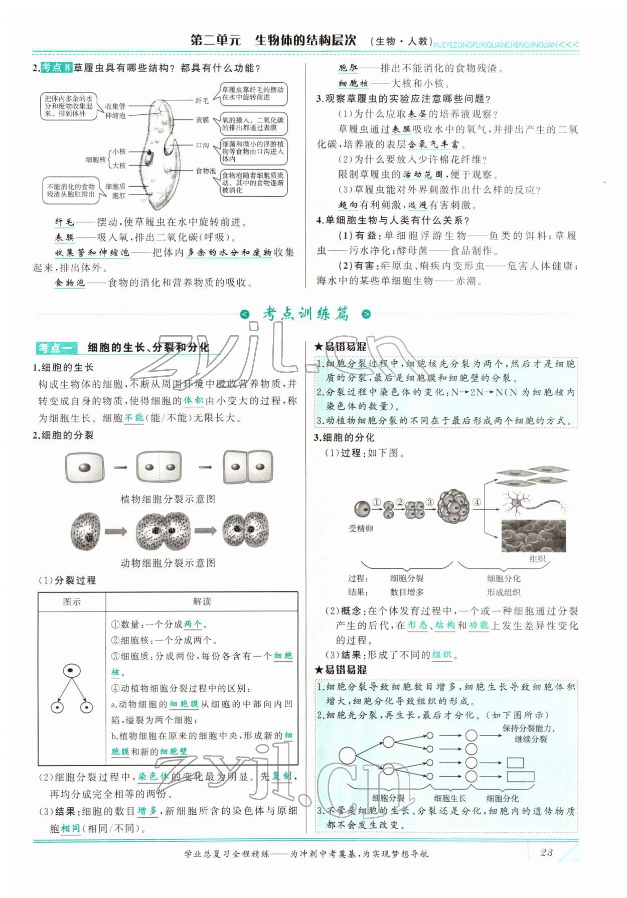 2022年智慧大課堂學業總復習全程精練生物 參考答案第23頁