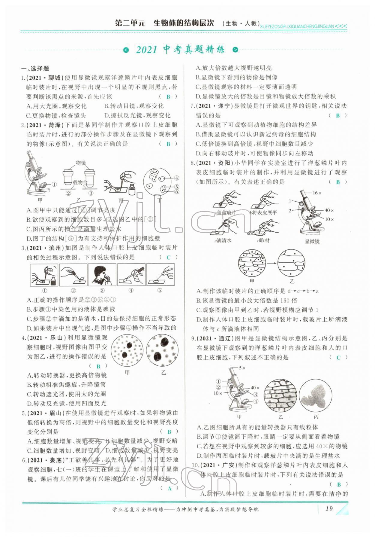 2022年智慧大课堂学业总复习全程精练生物&nbsp;参考答案第19页