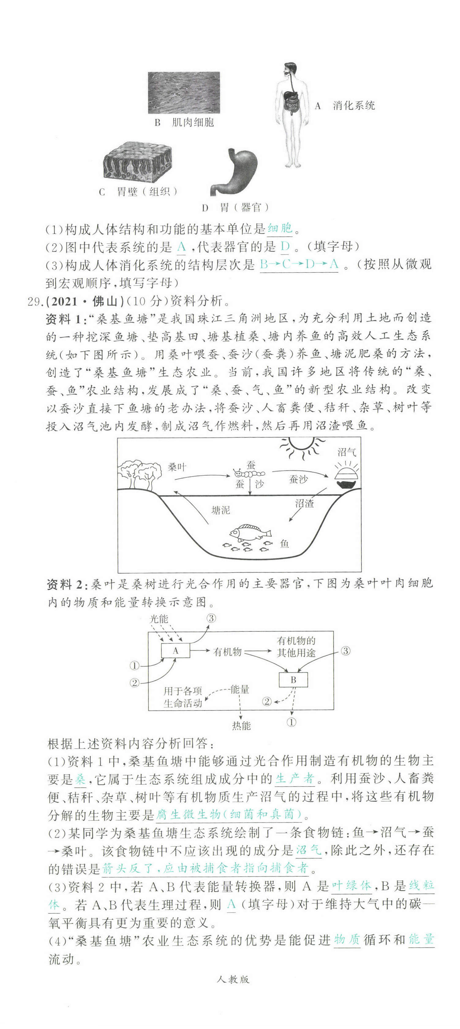2022年智慧大課堂學業總復習全程精練生物 第5頁