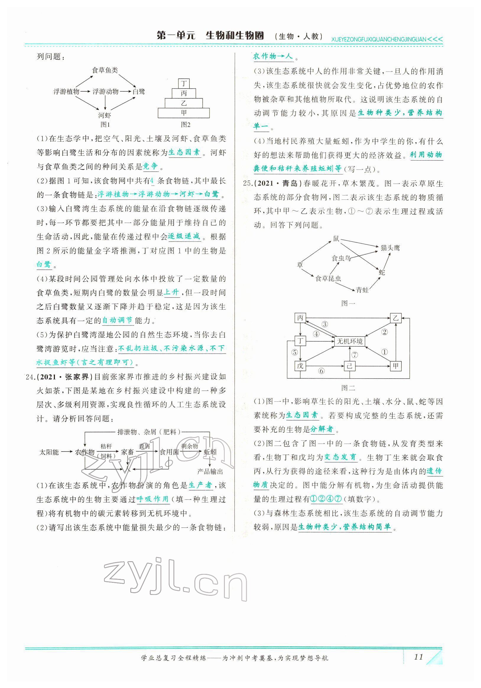 2022年智慧大課堂學業總復習全程精練生物 參考答案第11頁