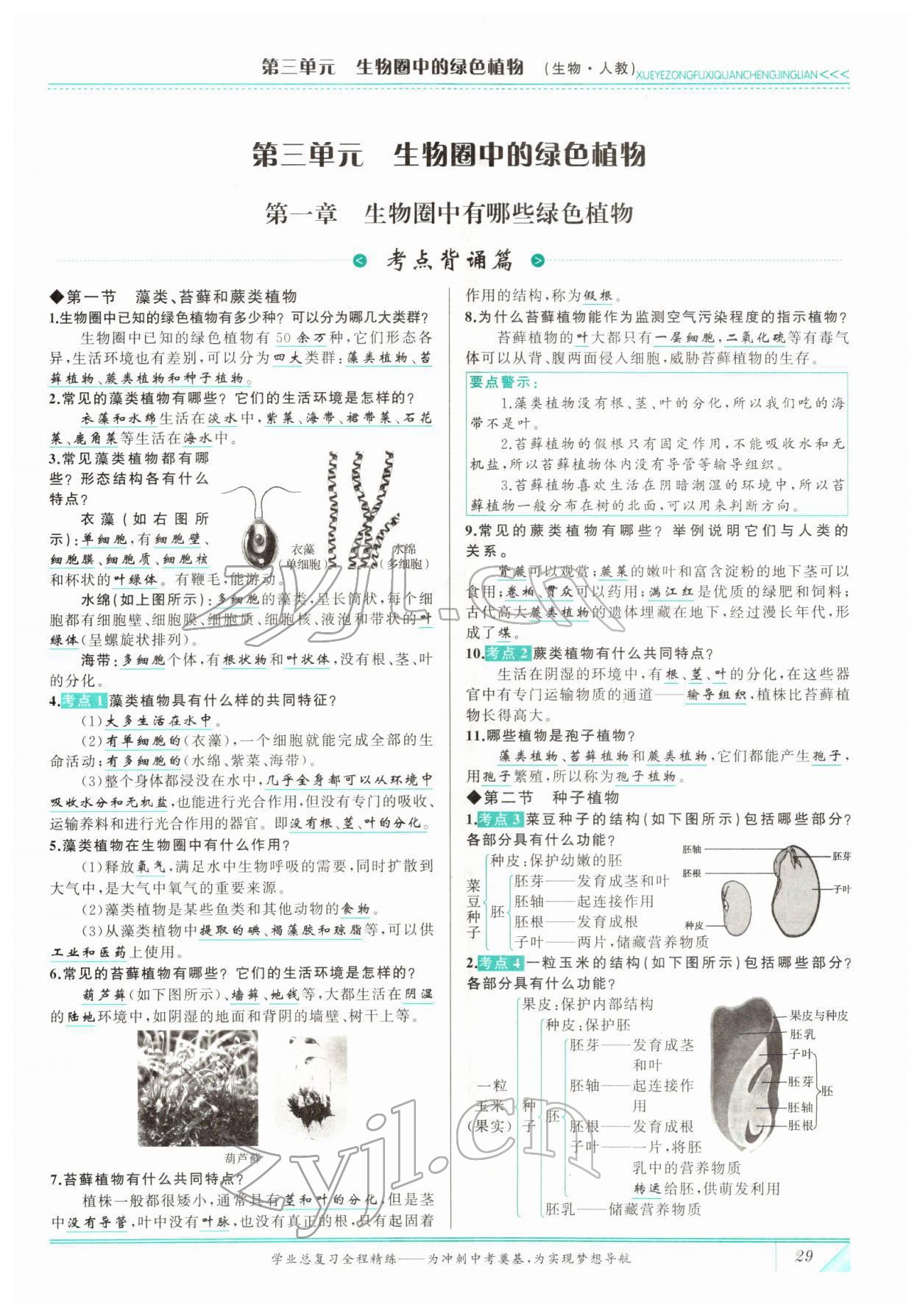 2022年智慧大課堂學業總復習全程精練生物 參考答案第29頁