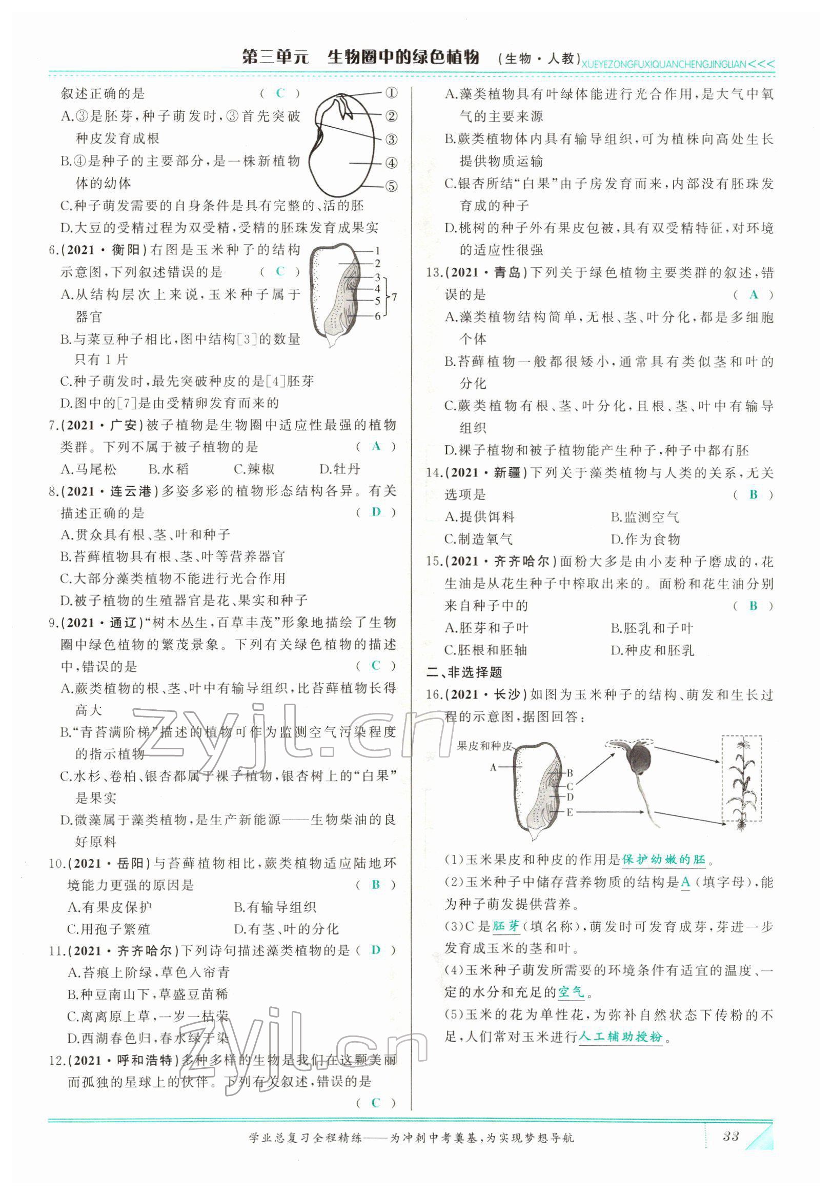 2022年智慧大課堂學業總復習全程精練生物 參考答案第33頁