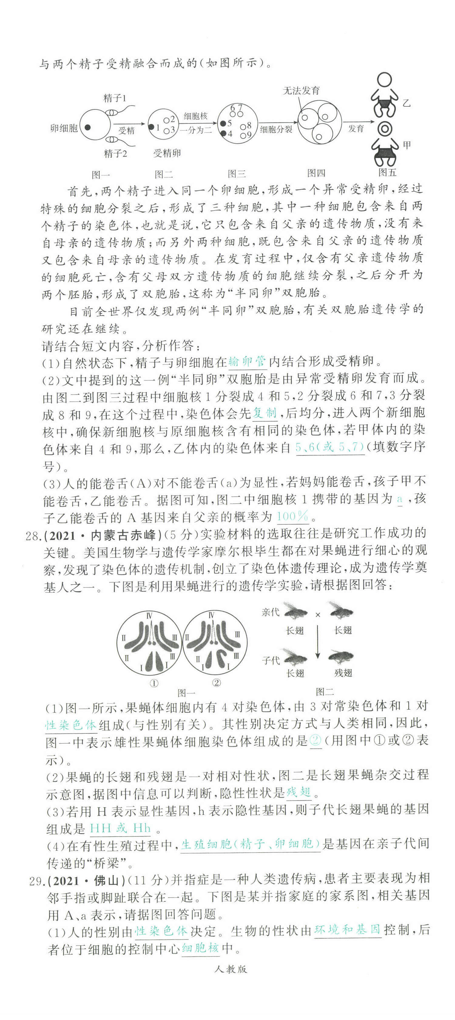 2022年智慧大課堂學業總復習全程精練生物 第29頁