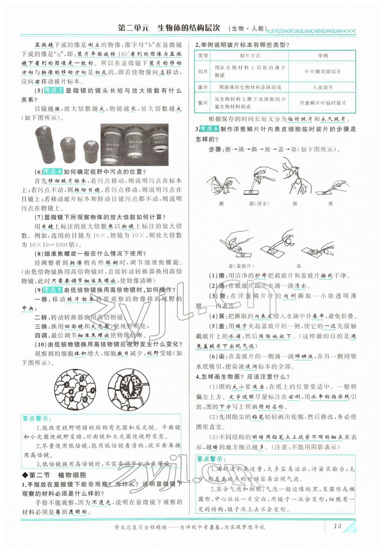 2022年智慧大課堂學業總復習全程精練生物 參考答案第13頁