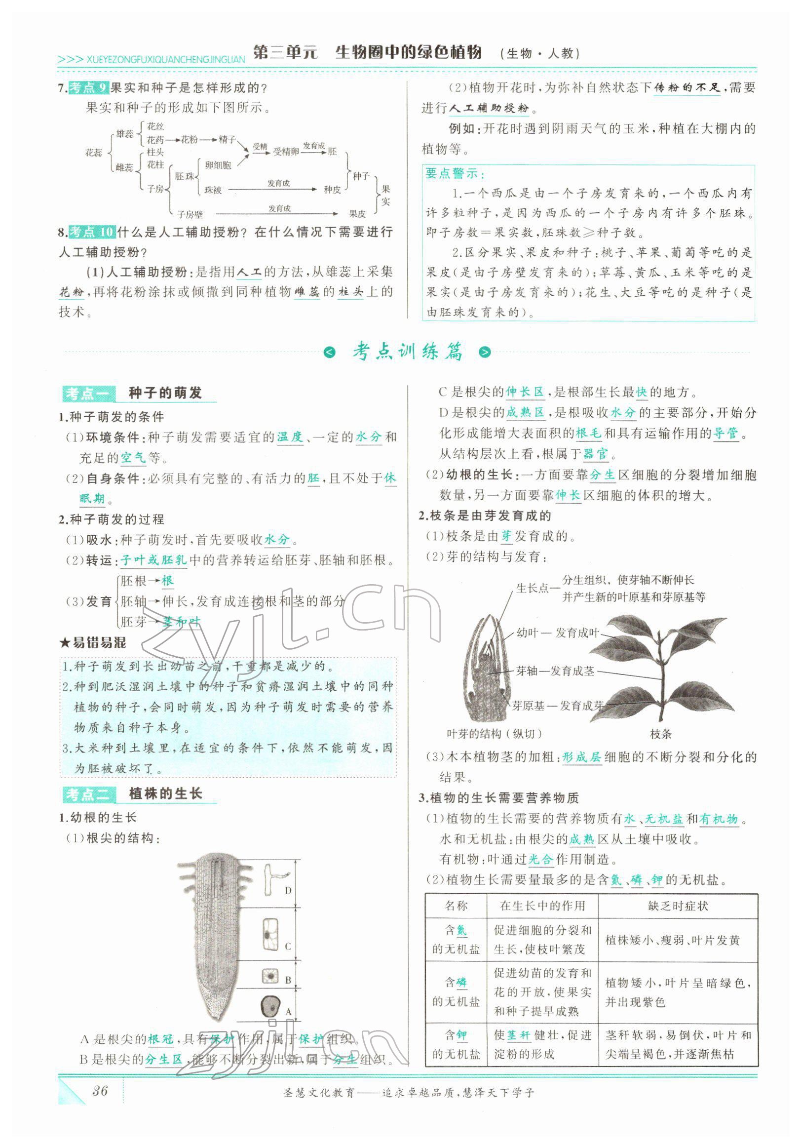 2022年智慧大課堂學業總復習全程精練生物 參考答案第36頁