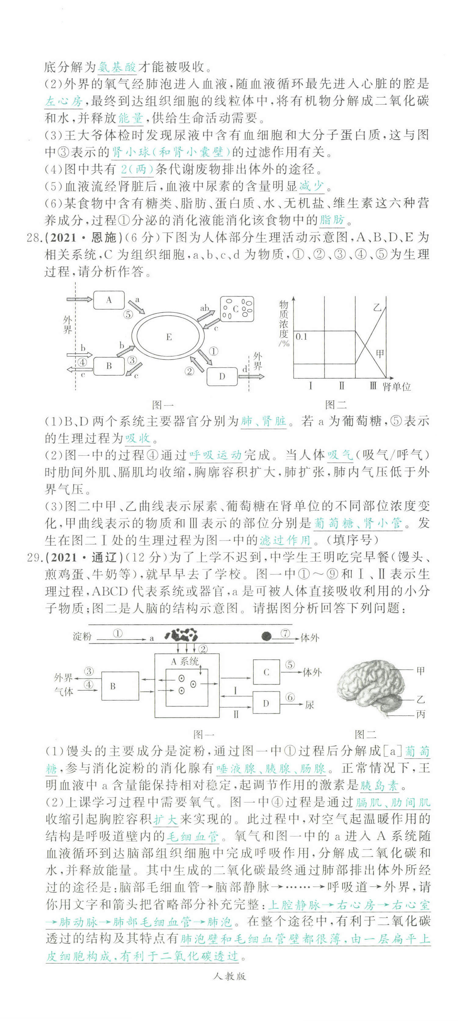 2022年智慧大課堂學業總復習全程精練生物 第17頁
