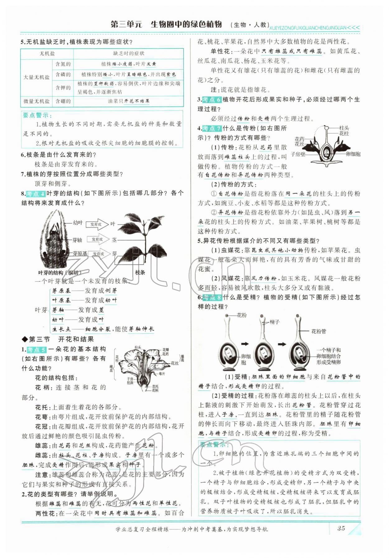2022年智慧大課堂學業總復習全程精練生物 參考答案第35頁