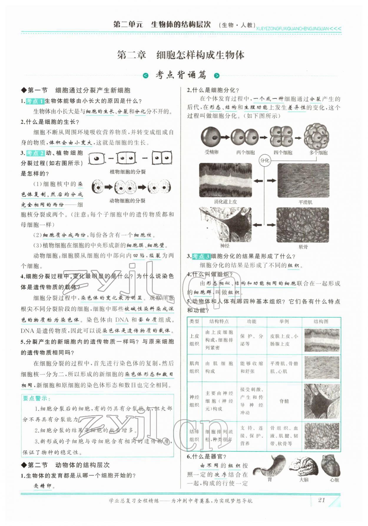 2022年智慧大課堂學業總復習全程精練生物 參考答案第21頁