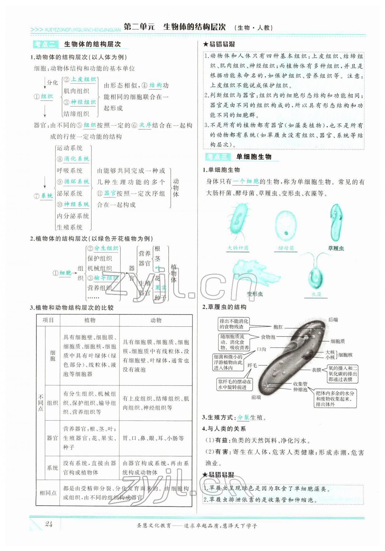 2022年智慧大课堂学业总复习全程精练生物&nbsp;参考答案第24页