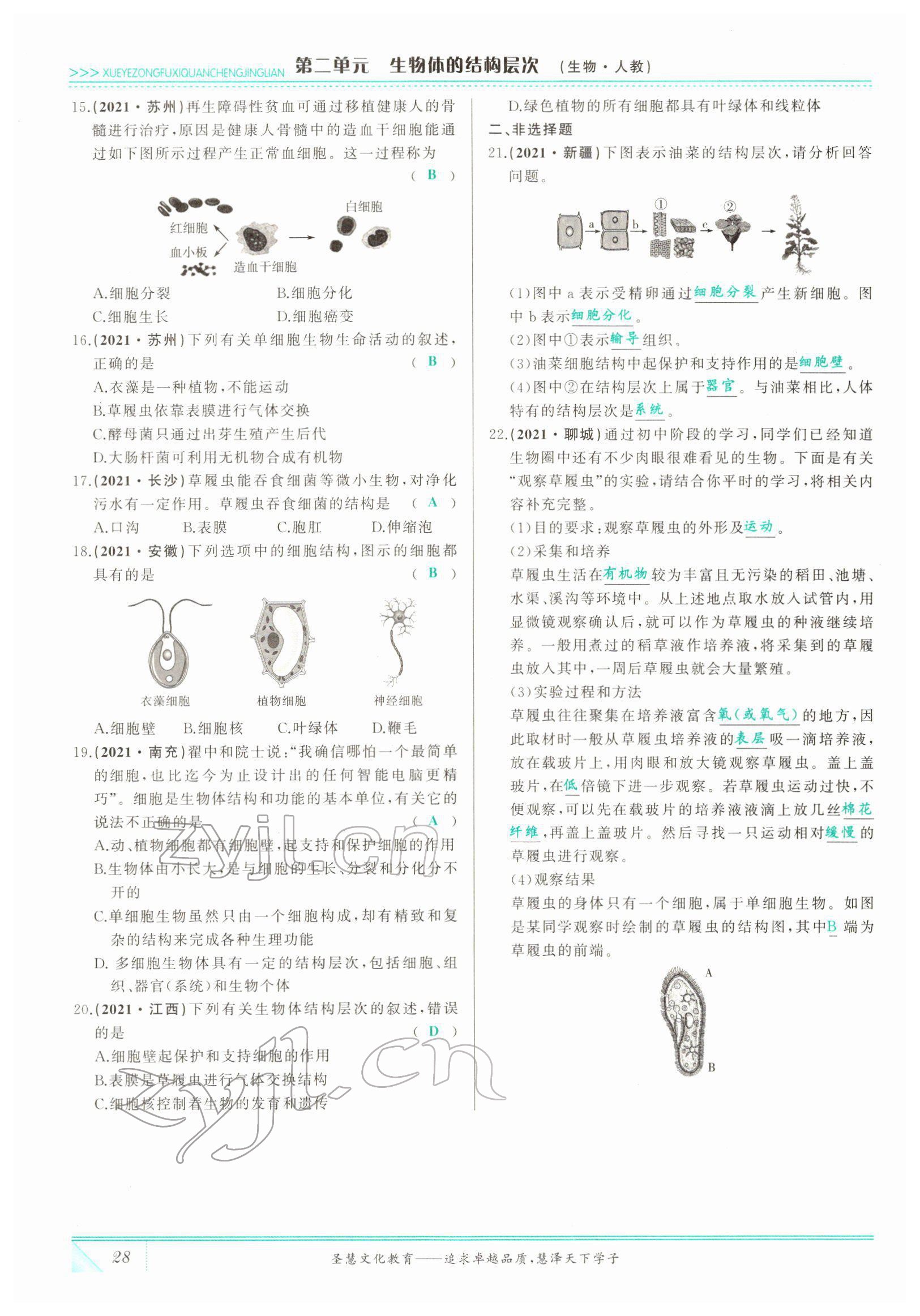 2022年智慧大課堂學業總復習全程精練生物 參考答案第28頁