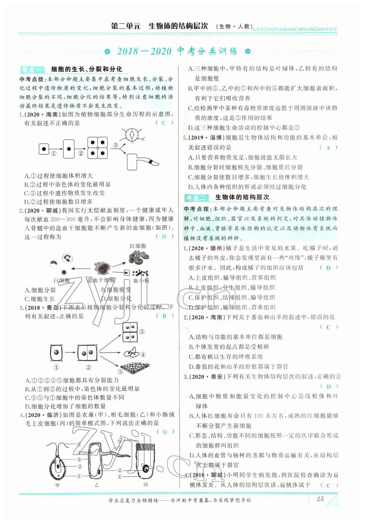 2022年智慧大課堂學業總復習全程精練生物 參考答案第25頁