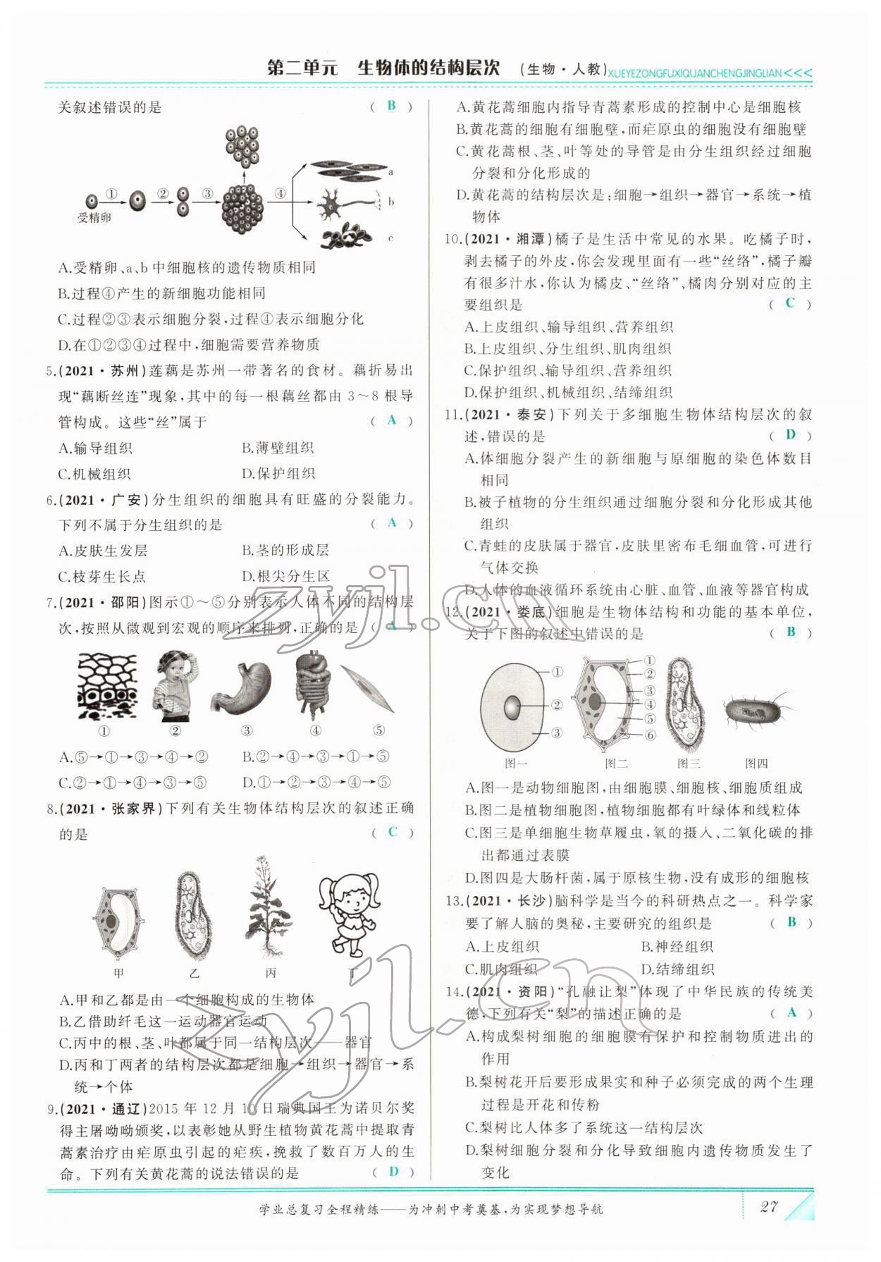 2022年智慧大課堂學業總復習全程精練生物 參考答案第27頁