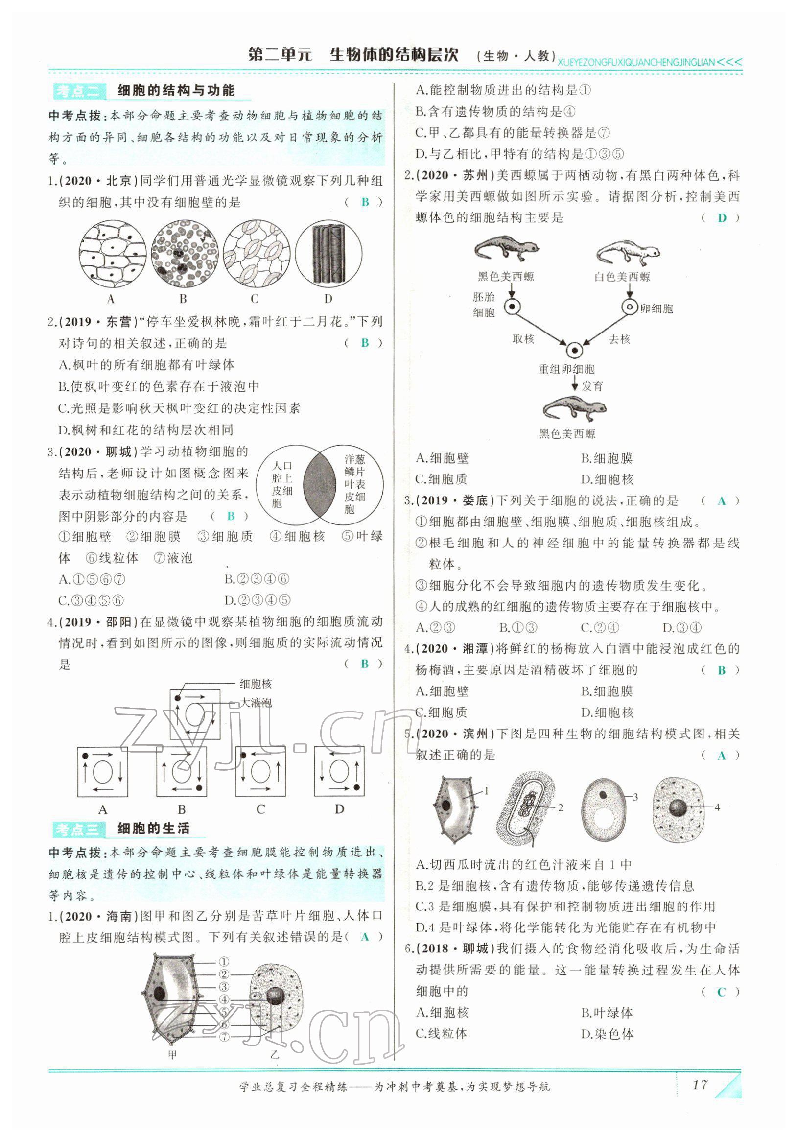 2022年智慧大課堂學業總復習全程精練生物 參考答案第17頁