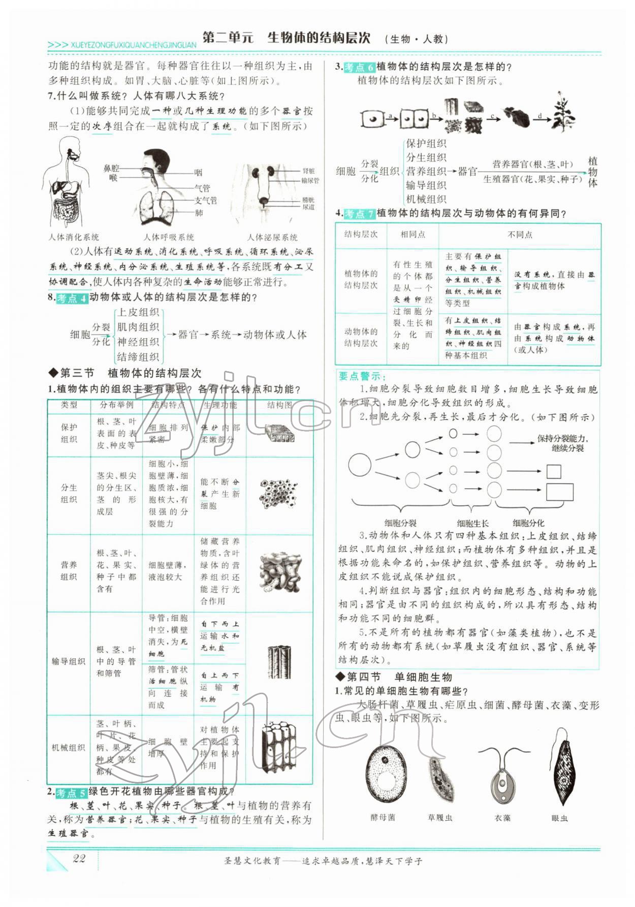 2022年智慧大課堂學業總復習全程精練生物 參考答案第22頁