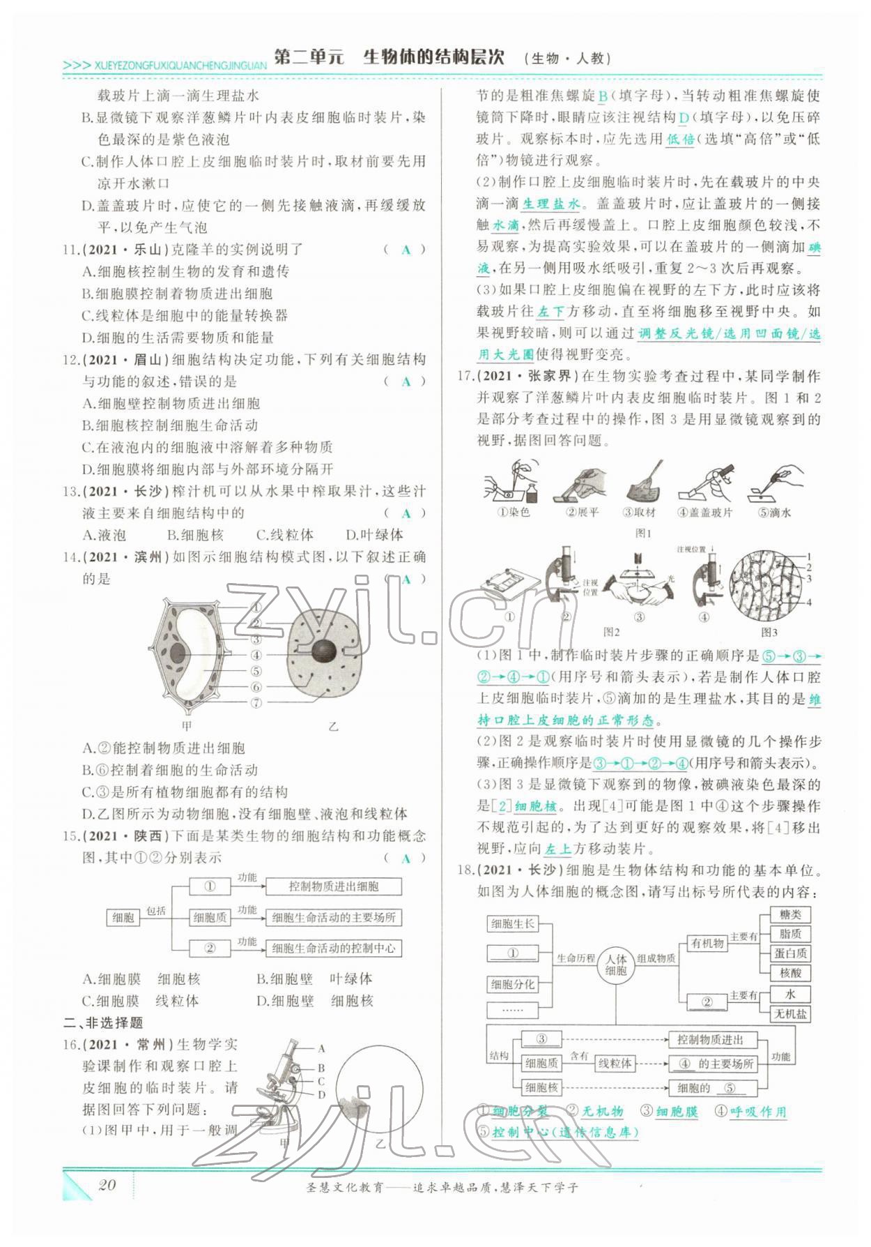 2022年智慧大课堂学业总复习全程精练生物&nbsp;参考答案第20页