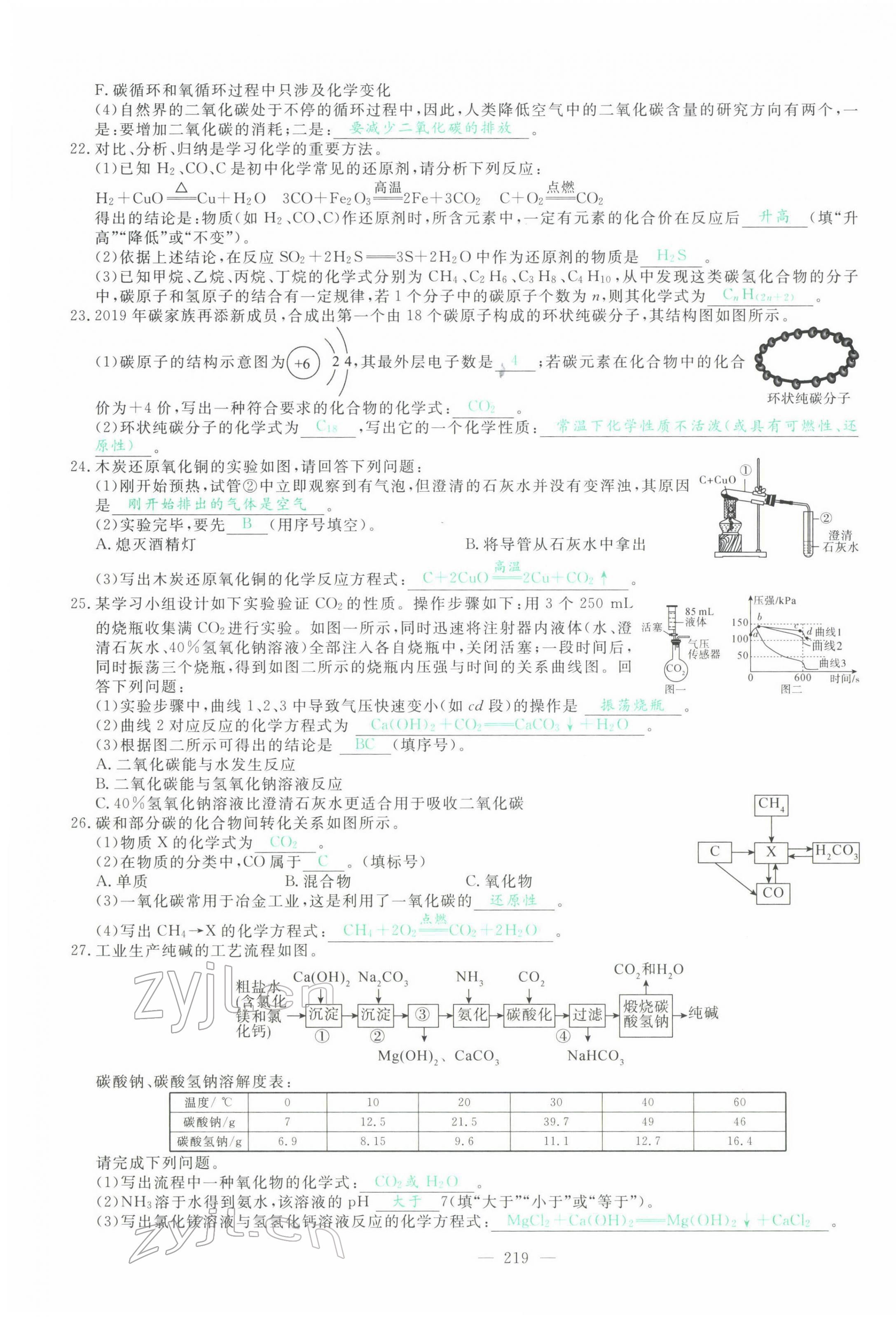 2022年智慧大課堂學(xué)業(yè)總復(fù)習(xí)全程精練化學(xué)人教版 第23頁