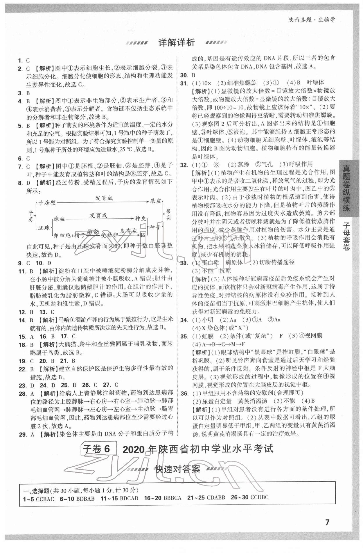 2022年萬唯中考真題生物人教版陜西專版 第7頁