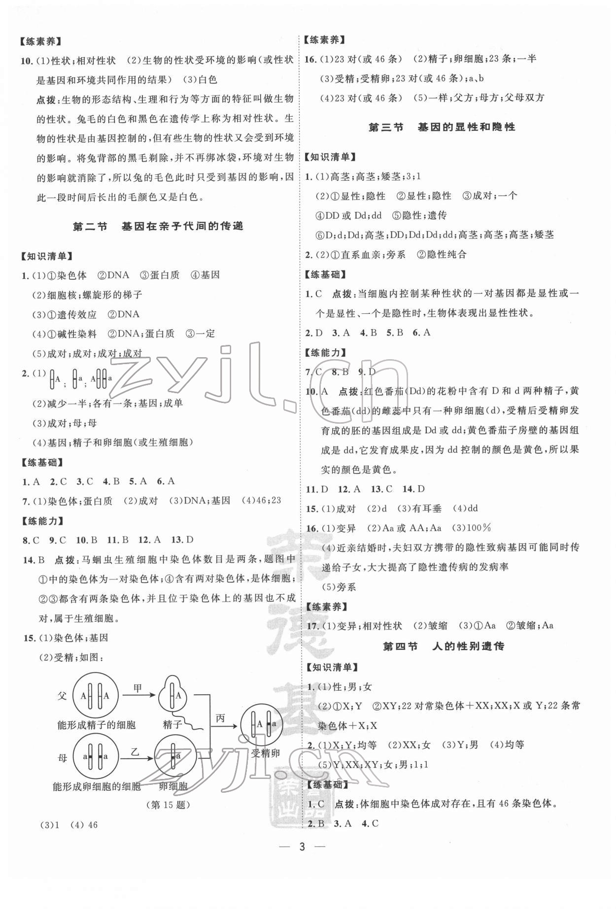 2022年點(diǎn)撥訓(xùn)練八年級(jí)生物下冊(cè)人教版 參考答案第3頁