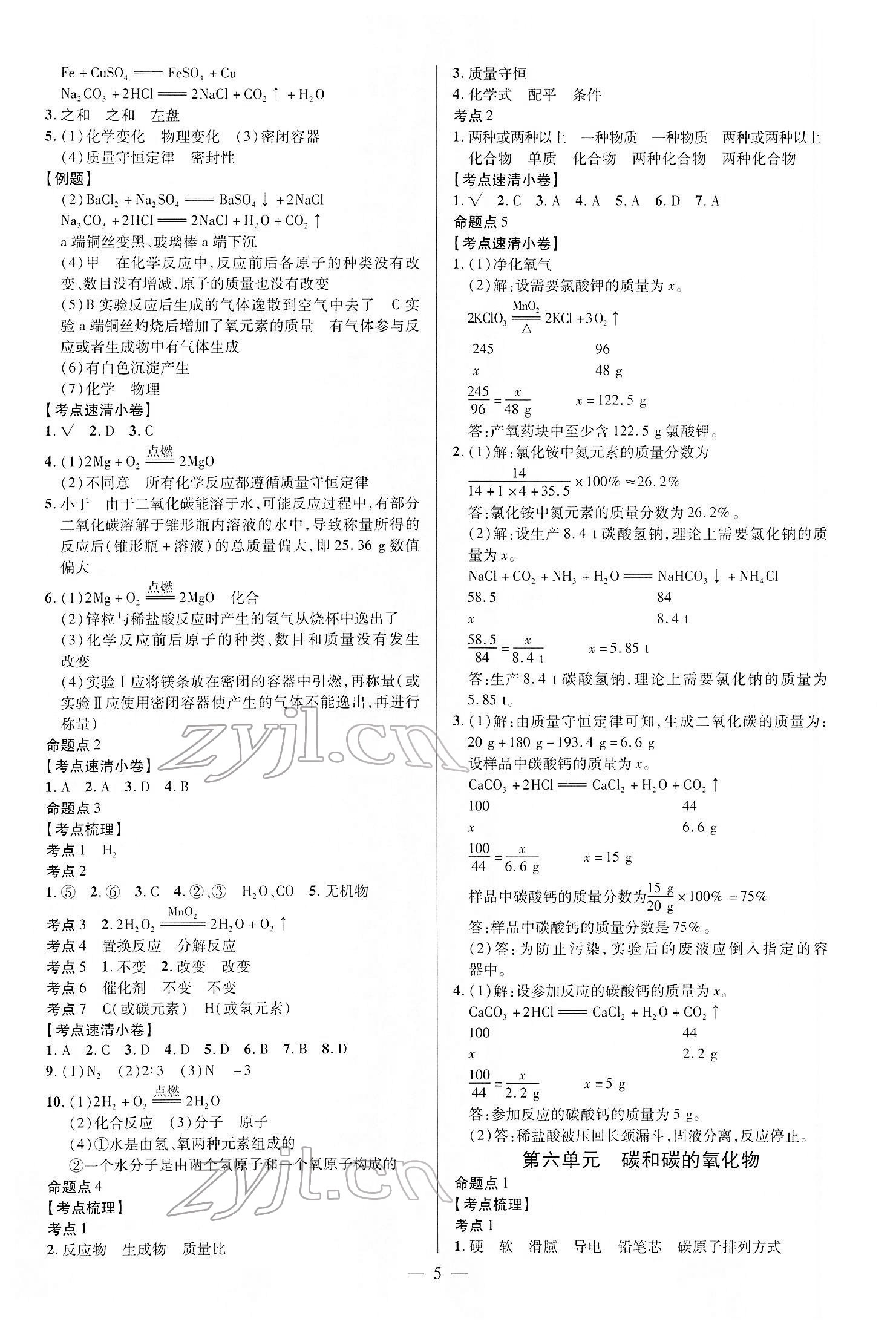 2022年練客中考提優(yōu)方案化學(xué)安徽專(zhuān)版 第5頁(yè)