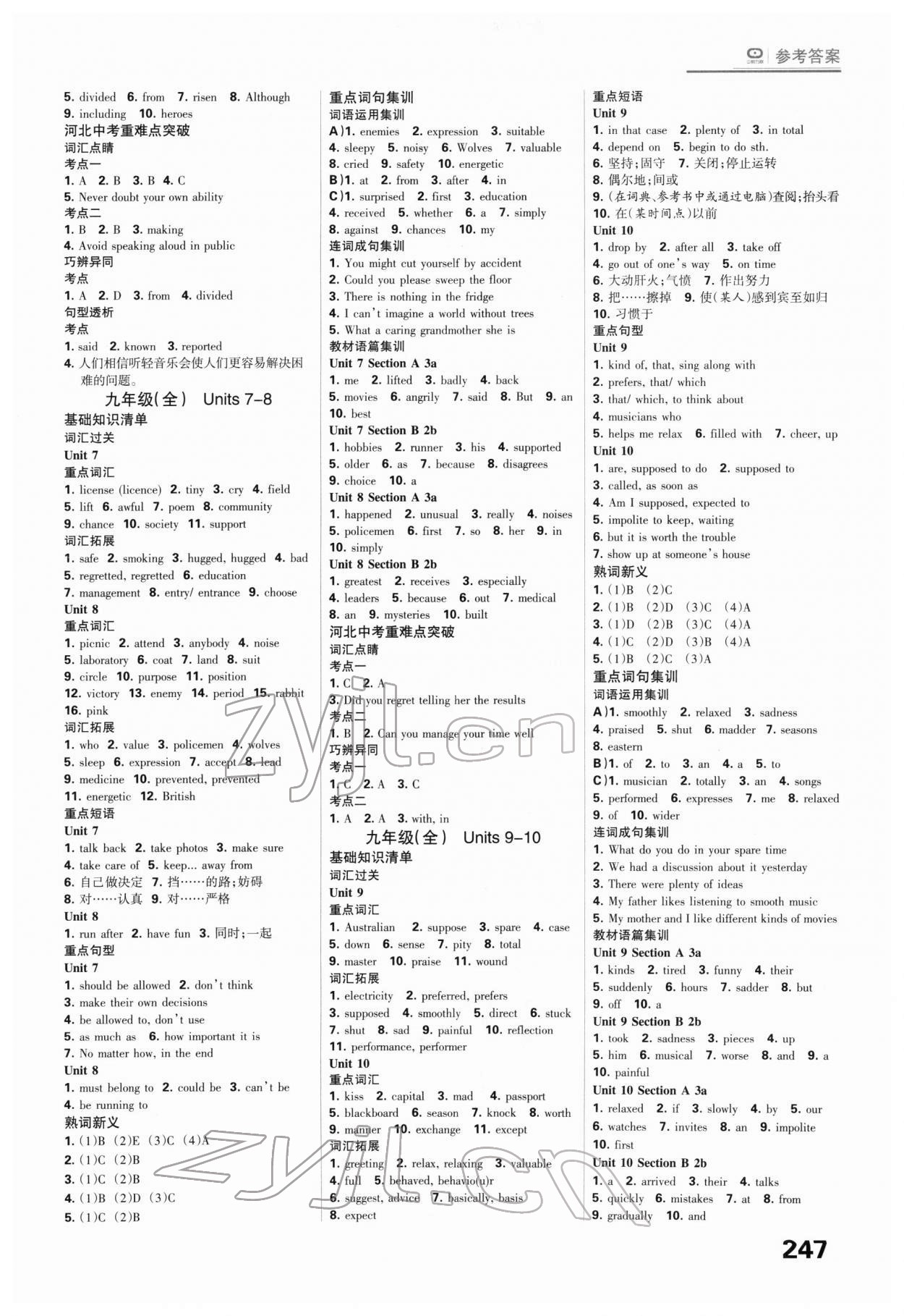 2022年全優(yōu)中考系統(tǒng)總復(fù)習(xí)英語河北專用 第13頁