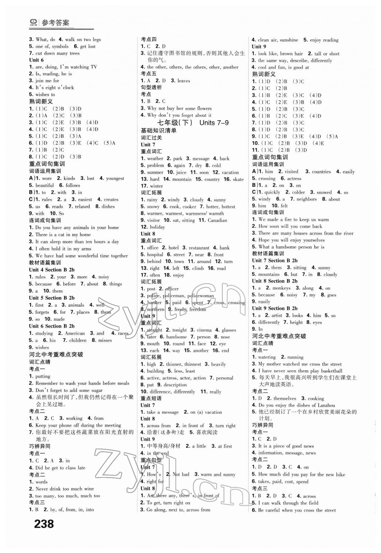 2022年全優(yōu)中考系統(tǒng)總復(fù)習(xí)英語河北專用 第4頁