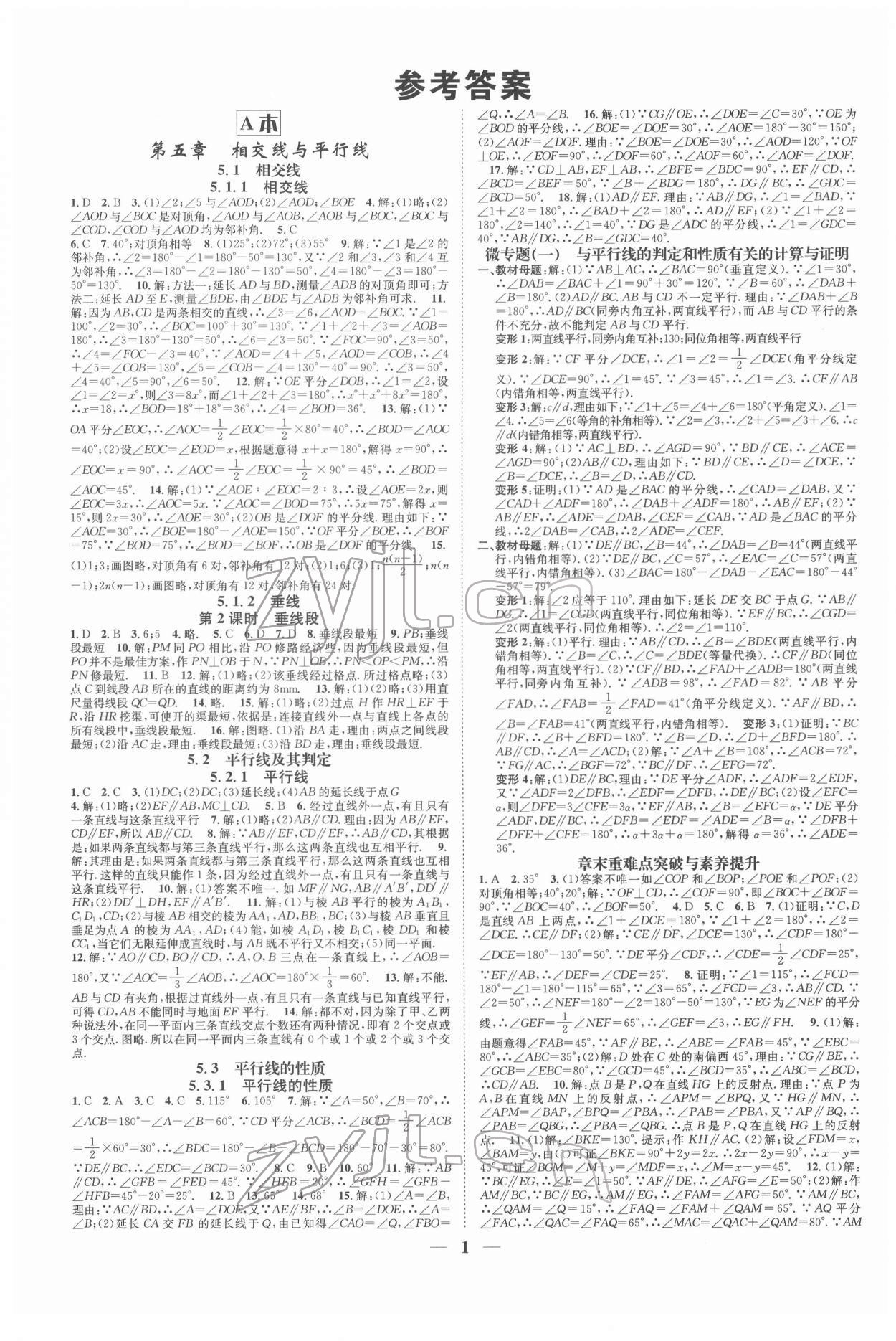 2022年智慧學堂七年級數學下冊人教版臺州專版 參考答案第1頁