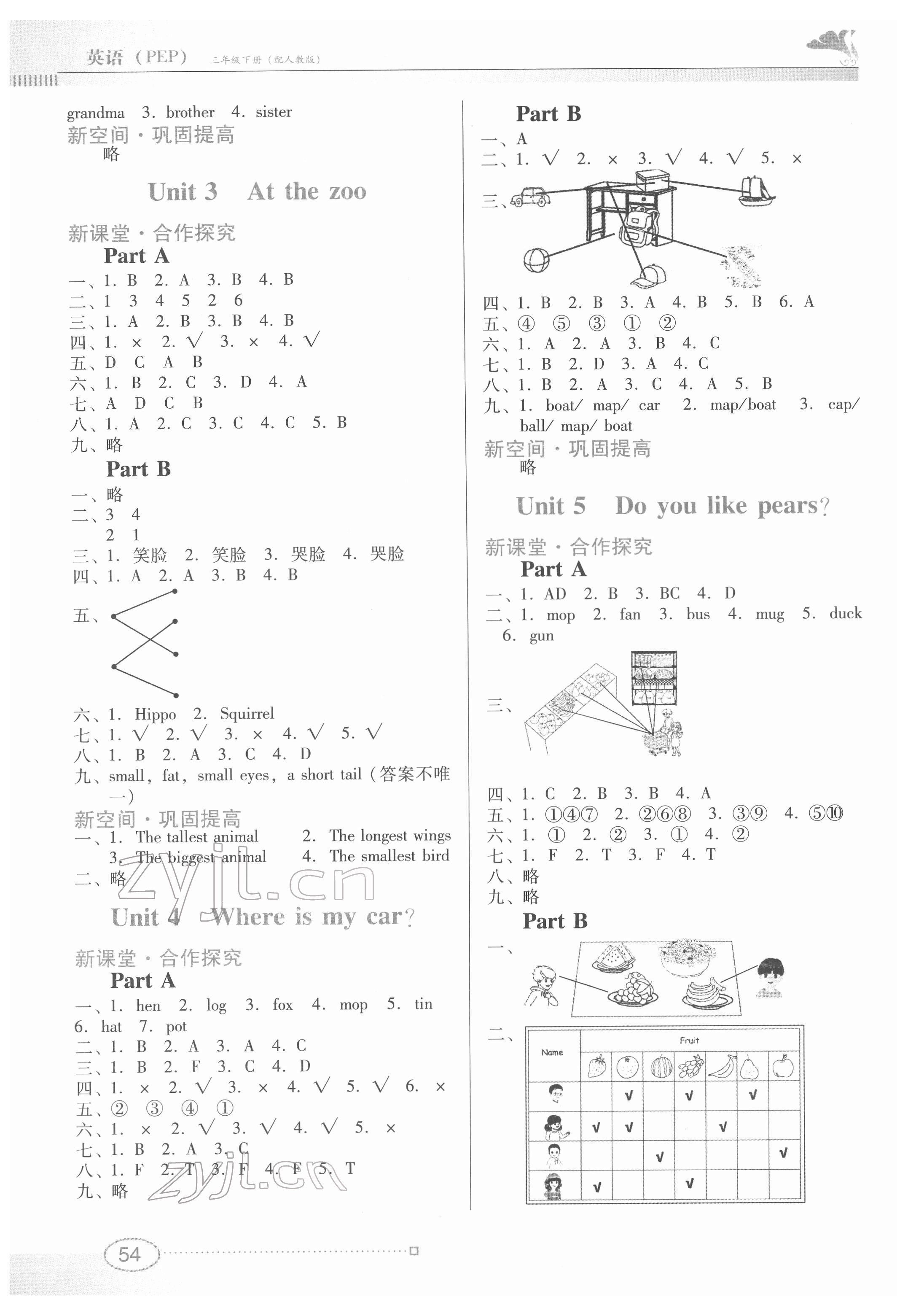 2022年南方新課堂金牌學(xué)案三年級英語下冊人教版 第2頁