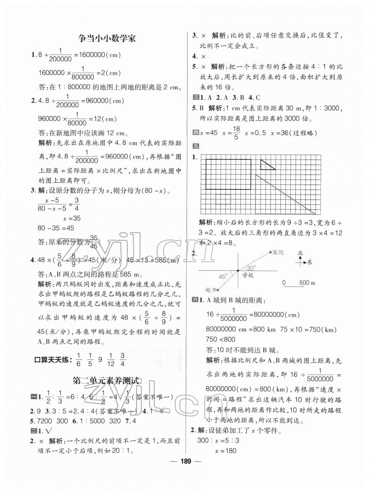 2022年核心素養(yǎng)天天練六年級數(shù)學(xué)下冊北師大版 參考答案第11頁