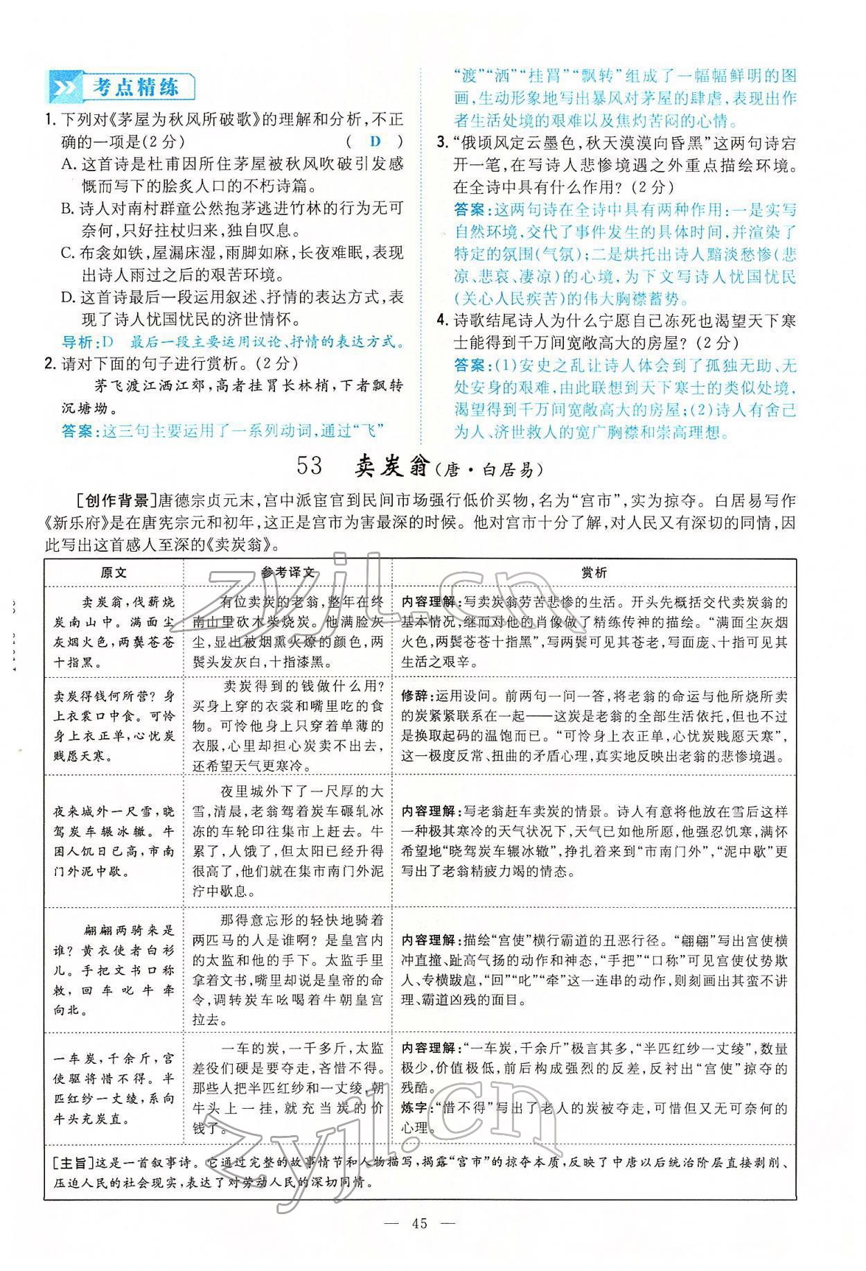 2022年云南省初中學(xué)業(yè)水平考試導(dǎo)與練語文云南專版 第45頁