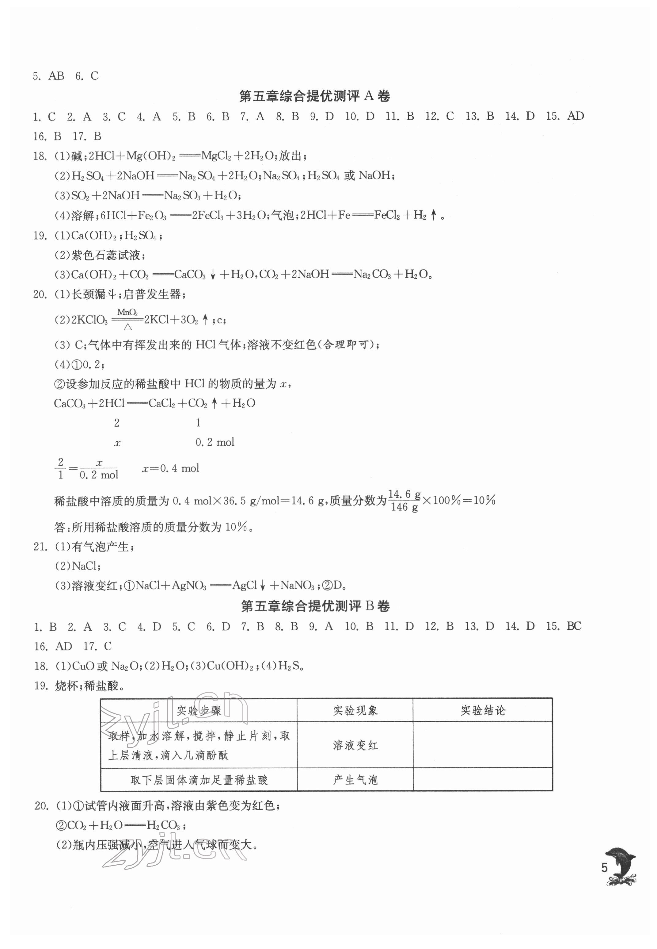 2022年实验班提优训练九年级化学下册沪教版上海专版54制 第5页