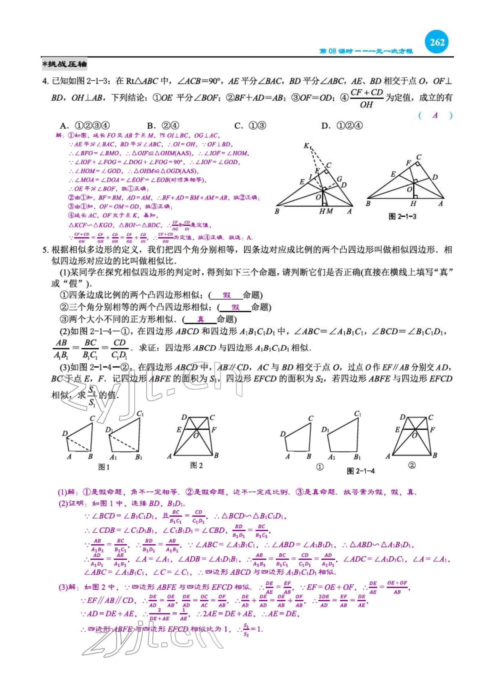 2022年綜合復(fù)習(xí)與測(cè)試黃山書社數(shù)學(xué) 第17頁