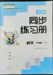 2022年同步練習(xí)冊(cè)大象出版社九年級(jí)數(shù)學(xué)下冊(cè)人教版