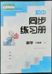 2022年同步練習冊大象出版社八年級數(shù)學下冊人教版