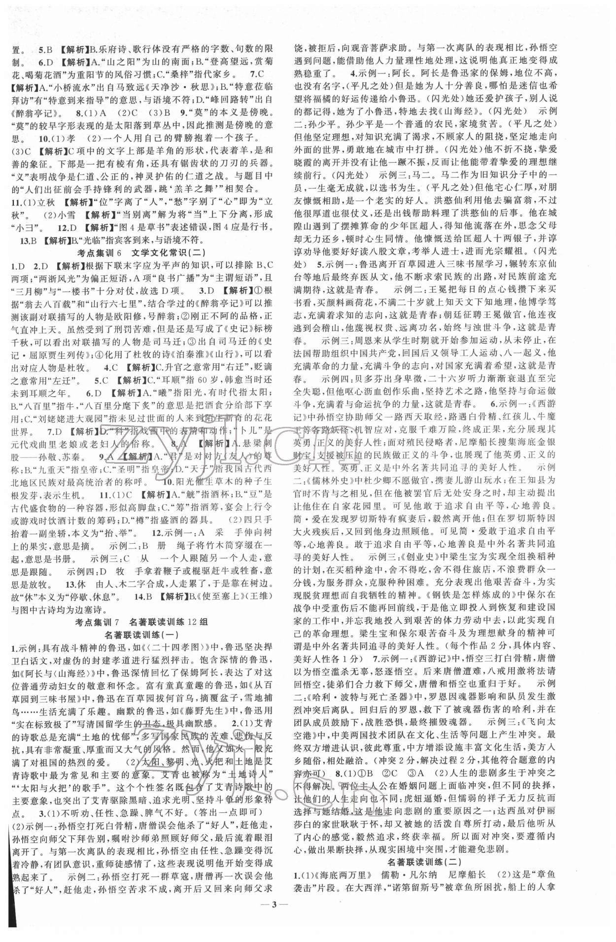 2022年金華中考名師面對面中考滿分策略語文 第3頁