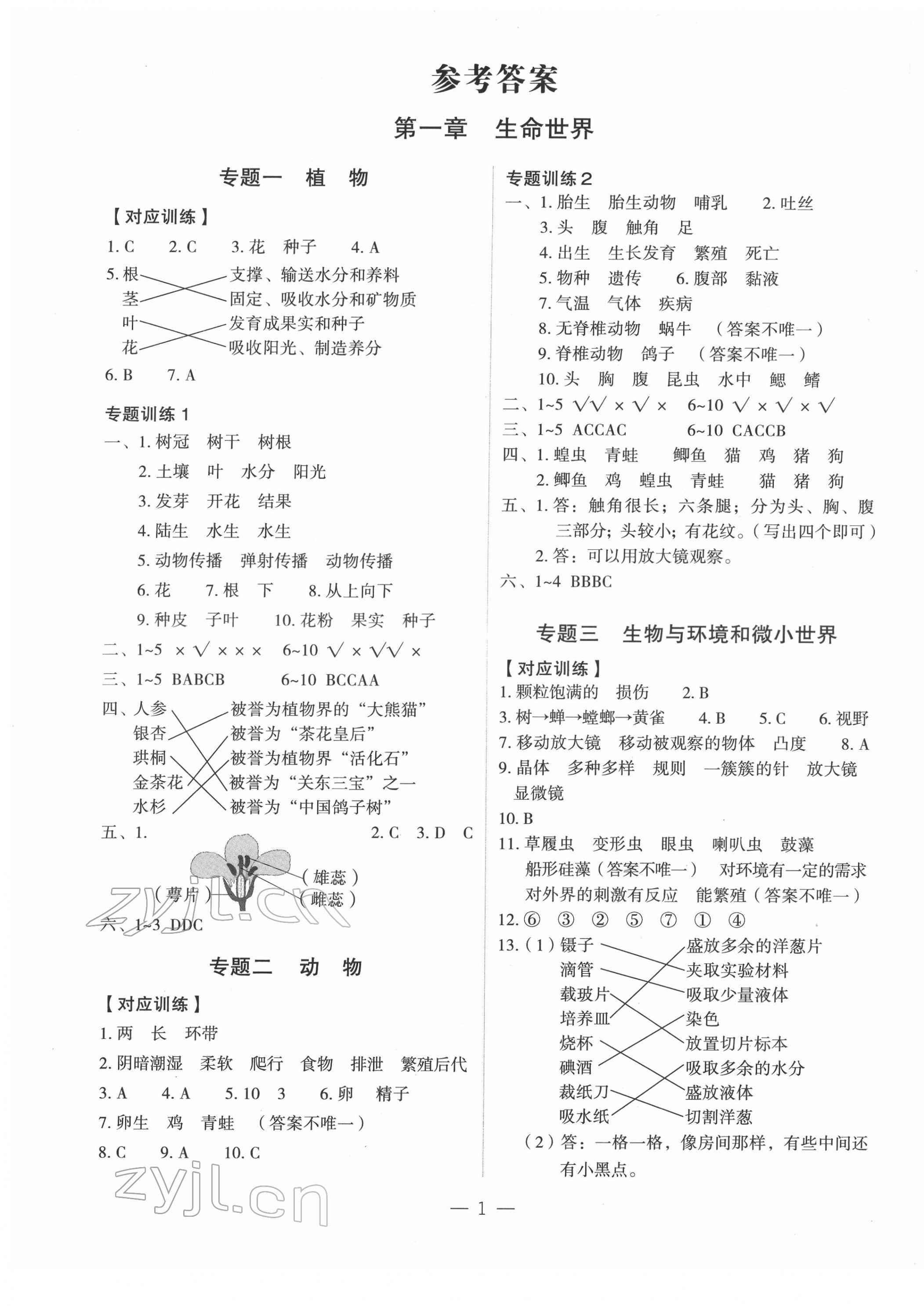 2022年名師面對面小考滿分特訓方案科學 第1頁