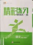 2022年精彩練習(xí)就練這一本七年級(jí)語(yǔ)文下冊(cè)人教版