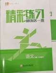 2022年精彩練習(xí)就練這一本八年級(jí)語(yǔ)文下冊(cè)人教版