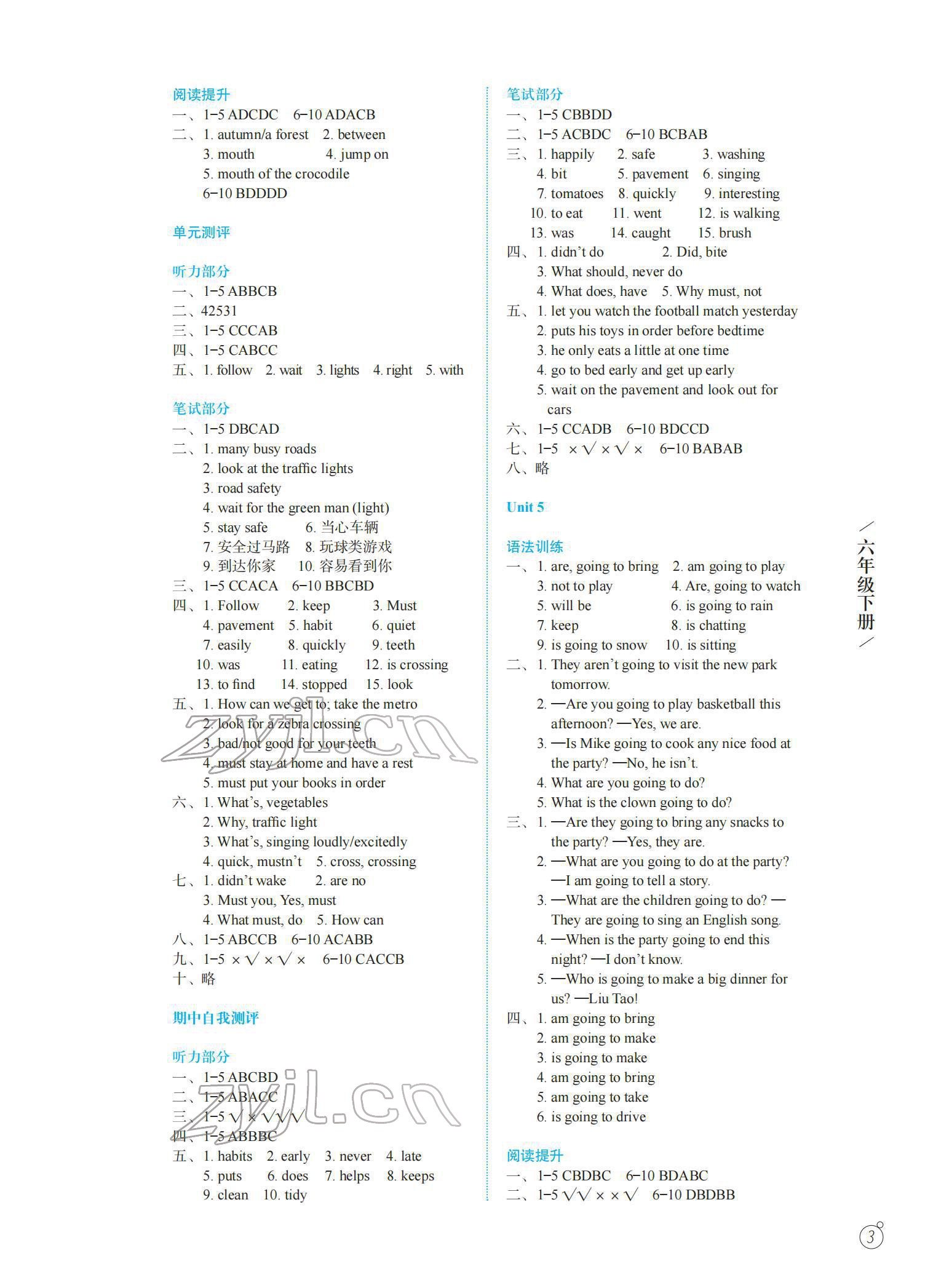 2022年智慧學(xué)案六年級英語下冊譯林版 第3頁