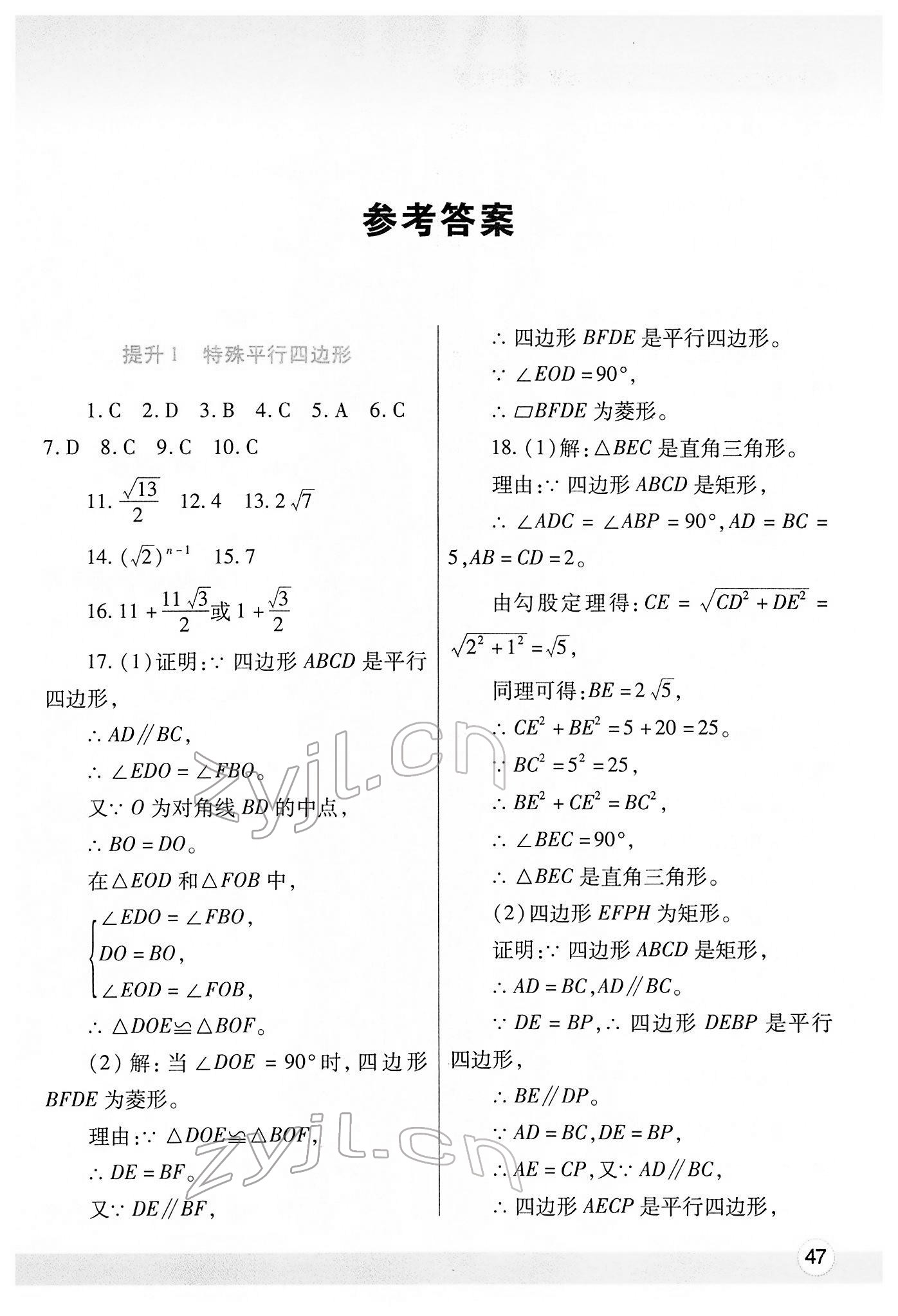 2022年寒假作業(yè)與生活陜西師范大學(xué)出版總社九年級(jí)數(shù)學(xué)北師大版 第1頁(yè)