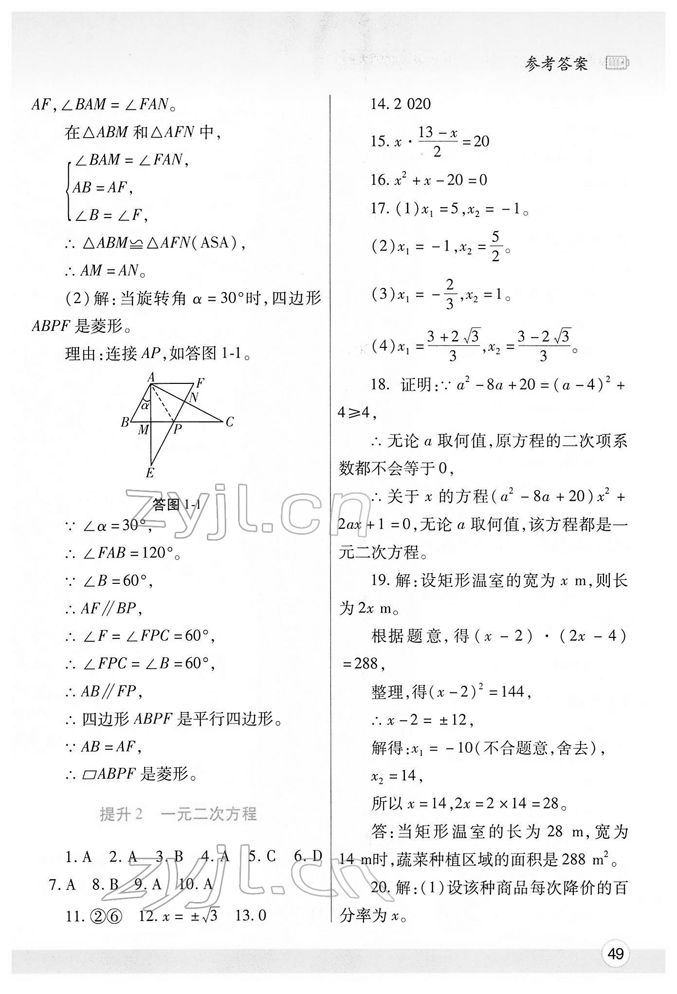 2022年寒假作業(yè)與生活陜西師范大學(xué)出版總社九年級數(shù)學(xué)北師大版 第3頁